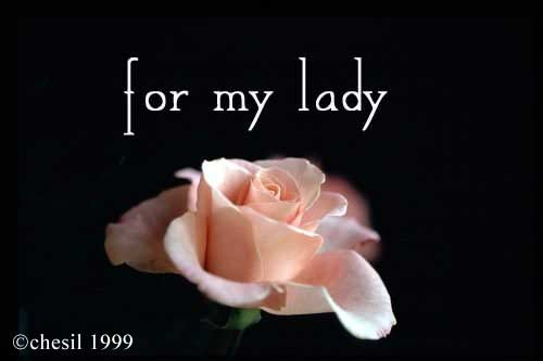 ladyrose