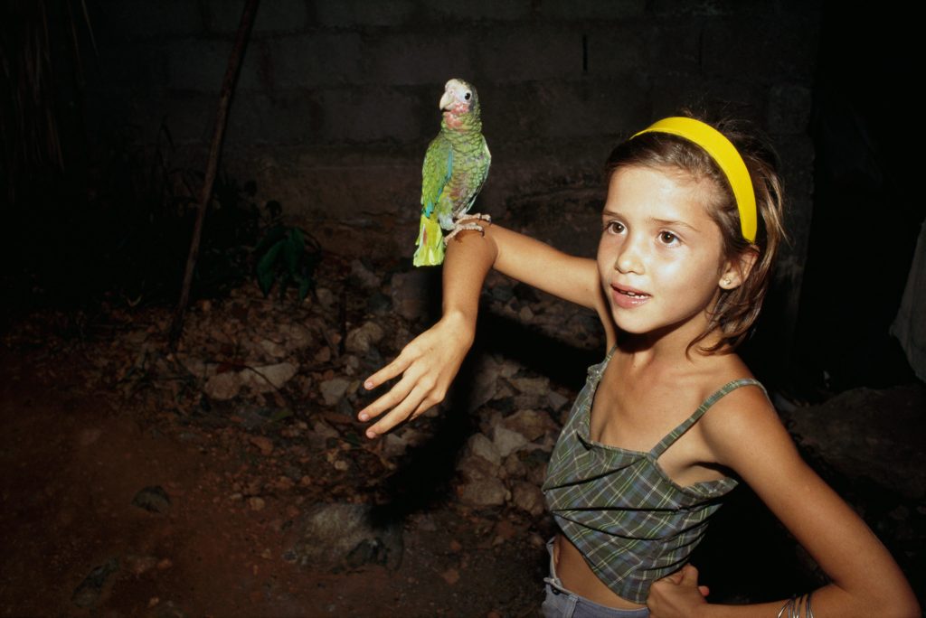 Alex Tehrani Photography