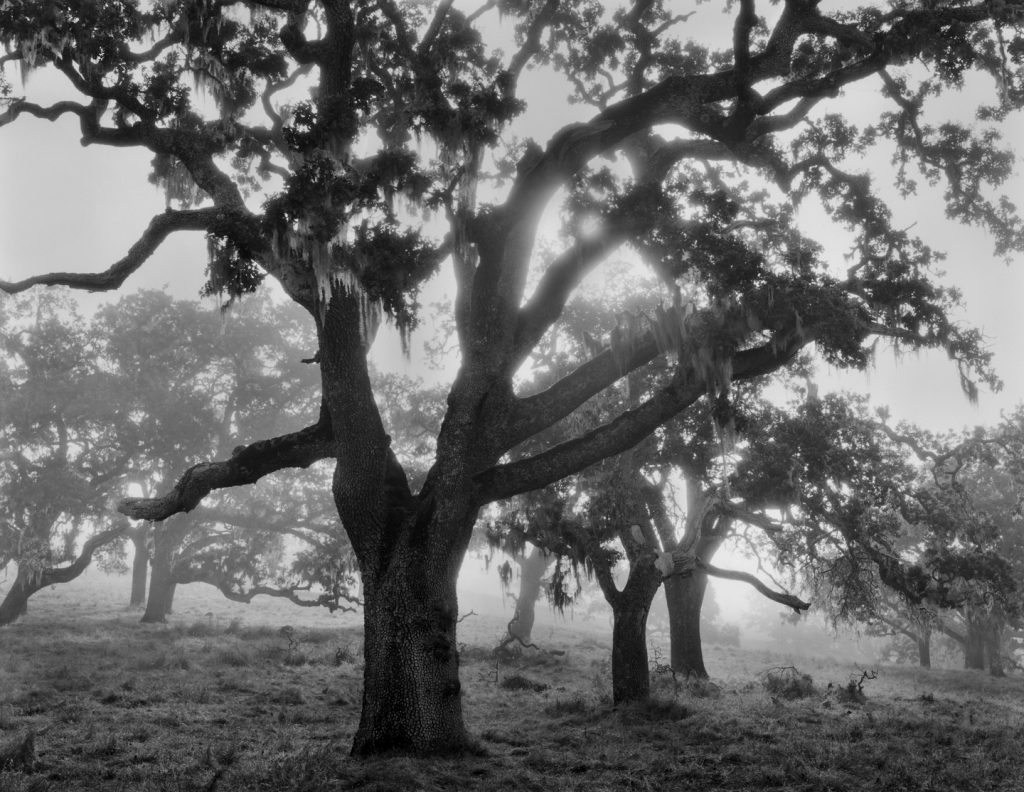 John Sexton Photography